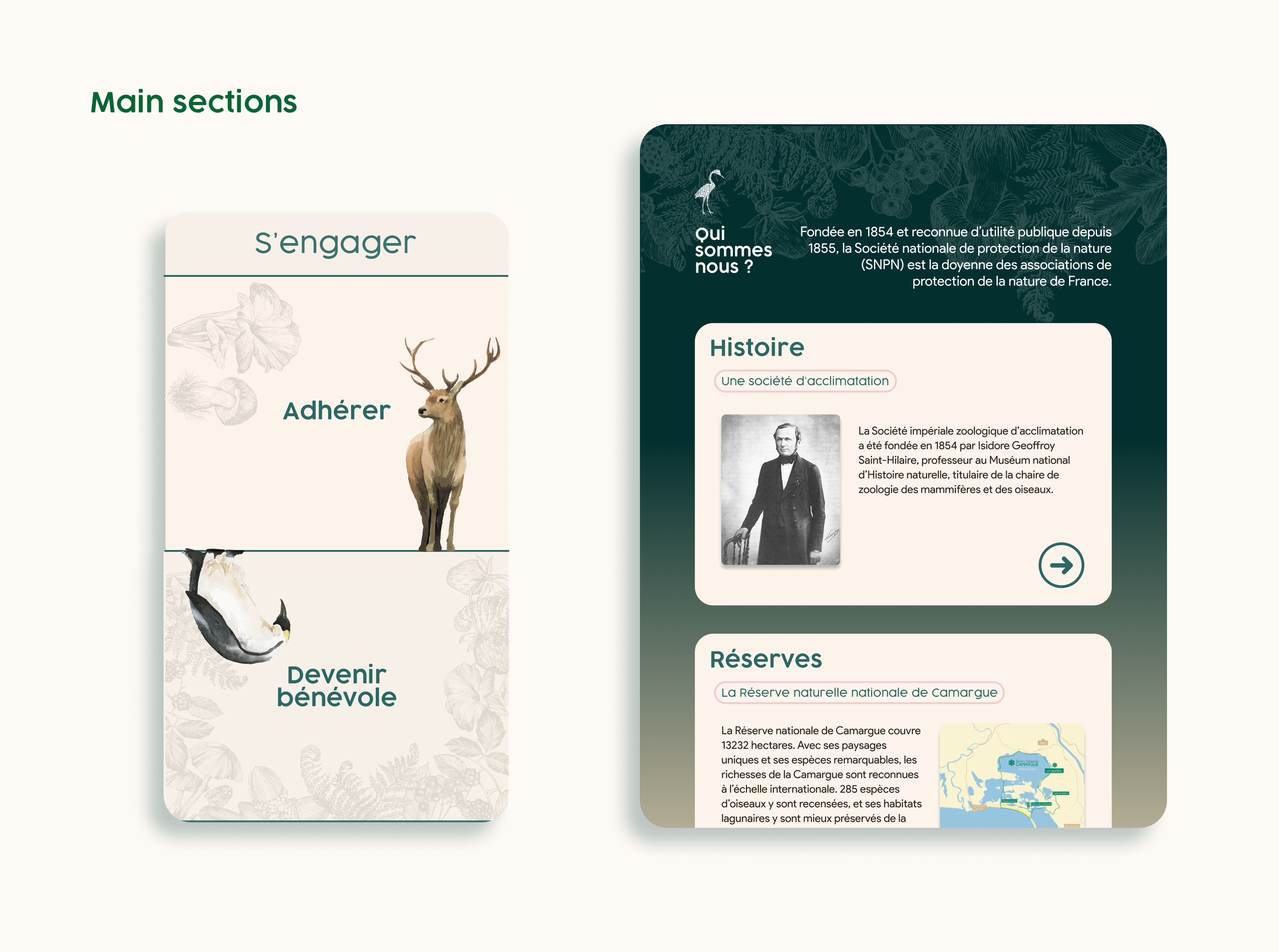 SNPN UI UX portfolio